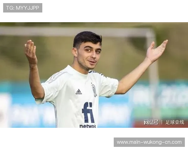 佩德里伤病体质对其出勤稳定性的影响分析