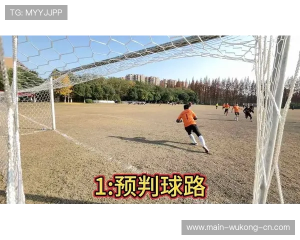 扑救球后守门员获利的判罚规则到底有多复杂？