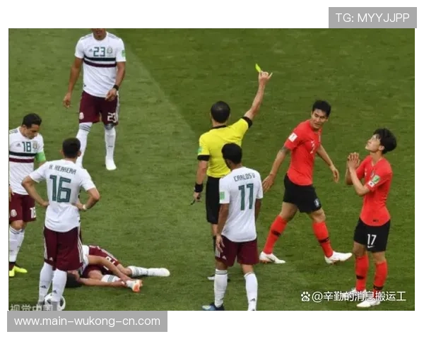 技术区规则详解：裁判如何判定违规行为与处罚标准