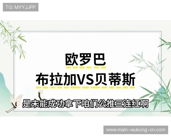 新西兰冲击2026美加墨世界杯前景分析：能否时隔16年重返决赛圈